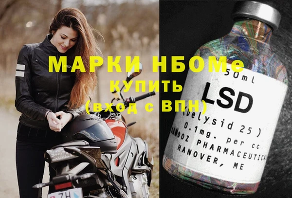 прущие грибы Ростов