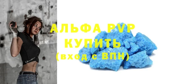 прущие грибы Ростов