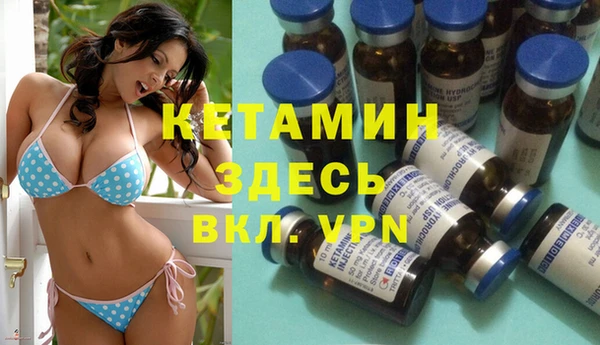 прущие грибы Ростов