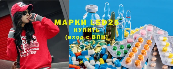 прущие грибы Ростов