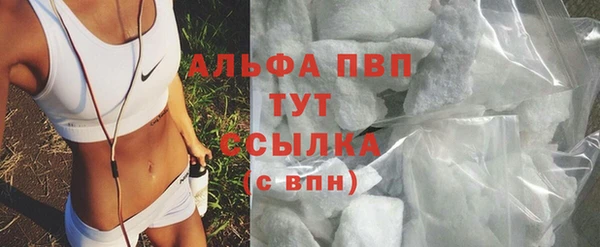 прущие грибы Ростов