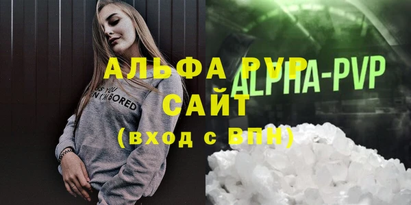прущие грибы Ростов