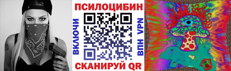 Псилоцибиновые грибы MAGIC MUSHROOMS  где купить   omg зеркало  Таштагол 